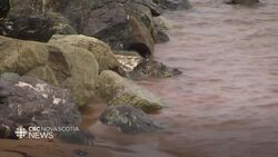 Pictou County exploring ideas to protect their coastline News Clip