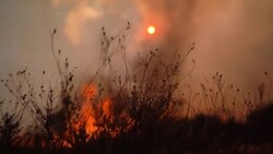 CLEAN : Wildfires kill 2 in Spain, forcing evacuation News Clip