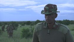 Africa’s endangered wildlife at risk as tourism dries up News Clip