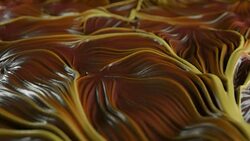 4K Abstract Muscle Tissue. Stock Footage