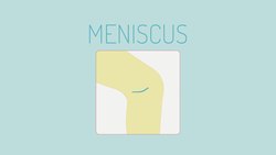 TED-Ed: How to 3D print human tissue | Taneka Jones Instructional Video