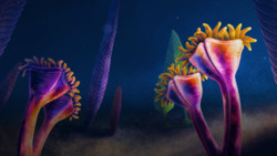 Animals Are Older Than We Thought Instructional Video