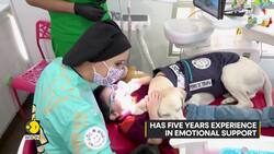 Friendly Labrador Aldo Calms Ecuadorean kids During Dentist Visit | World News | WION News Clip
