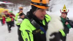 3 puppies rescued from Italy hotel rubble News Clip