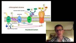 AP Biology - The Final Review Instructional Video