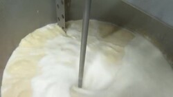 CLEAN : Dutch farmers protesting against government nitrogen plans welcome 'any support that we can get' News Clip