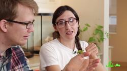 SciShow Talk Show: The Insectarium with Olivia Gordon Instructional Video