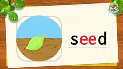 Step3_Lesson6_Long Vowel e (_ee_) Instructional Video