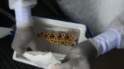 CLEAN : Blood samples drawn in Colombia to find Covid-19 antibodies as cases hit 1 mln News Clip