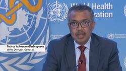 WHO says Canada's monkeypox outbreak slowing down News Clip
