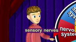 Human body: Quiz Instructional Video