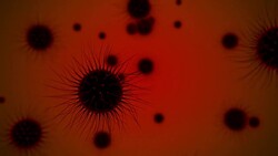 Virus cells Stock Footage