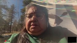 'It made me angry,' Indigenous scholar says of premier's comment News Clip