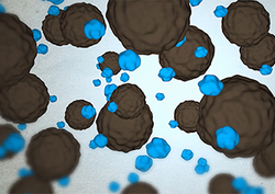 Brownian motion Instructional Video