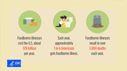 A Flash of Food Safety Handwashing: Why to Wash Your Hands Instructional Video