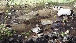 Mountain River streaming, Transparent Water and stones Stock Footage