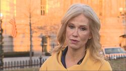 White House weighs stopgap funding in wall feud Instructional Video