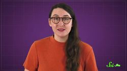 The Deep-Sea Snail with an Iron Shell Instructional Video