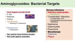 Aminoglycosides | Bacterial Targets, Mechanism of Action, Side Effects Instructional Video