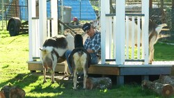 An Urban Goat Farm: Abita Springs Farm Instructional Video