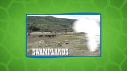 This Is Why You Shouldn’t Pick a Fight With This Cape Buffalo! Instructional Video