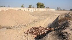 CLEAN : RAW-IRAQ-VIRUS-BIRD FLU-HEALTHIn Iraq, a new epidemic -- bird flu -- decimates chicken coops News Clip