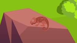 I WONDER - How Does Camouflage Help Animals? Instructional Video