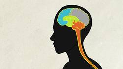 ¿Qué sienten los extraterrestres? - CuriosaMente 248 Instructional Video