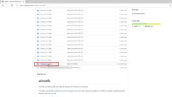 Apache Spark 3 for Data Engineering and Analytics with Python - Hadoop Installation Instructional Video