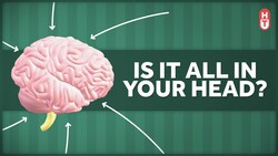 The Stigma of Mental Illness: Is it All in Your Head? Instructional Video