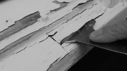 What May Have Caused the Death of Elizabeth I Instructional Video