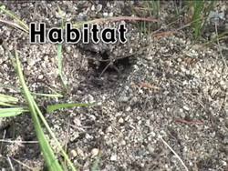 Needs of Living Things: Need for Living Space Instructional Video