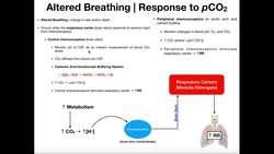Altered Breathing (via pCO2) & Breathing Imbalances Instructional Video
