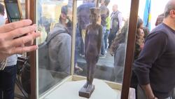 Mummified lions, crocs and birds in new Egypt finds Instructional Video