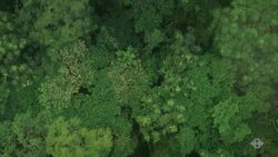 MaoKong Gondola Instructional Video