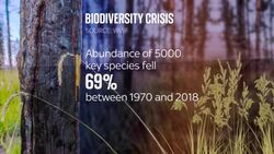 The UK is one of the most nature depleted countries on the planet News Clip