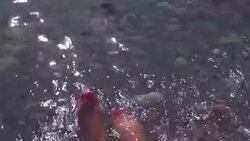 Slim woman in bikini sunbathing on travel vacation Stock Footage