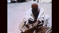 MAN GATHERS CROPS IN ALGERIAN OASIS. Stock Footage