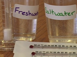 Método científico: comprobando la hipotesis Instructional Video