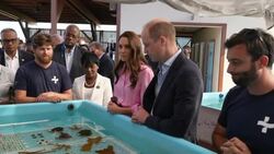 Duke and Duchess of Cambridge visit coral farm on Grand Bahama News Clip