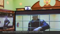 Navalny in critical condition after suspected poisoning News Clip