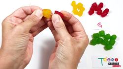 Make A Candy DNA Model Instructional Video