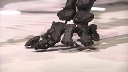 Sophie the Stegosaurus skeleton at the Natural History Museum News Clip