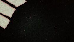 TED-Ed: The psychology of post-traumatic stress disorder - Joelle Maletis Instructional Video