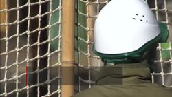 Tokyo zoo conducts annual escaped zebra drill News Clip