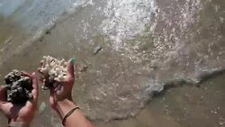 Woman hands holding coral at Crystal Bay beach at Nusa Penida Island, Indonesia Stock Footage
