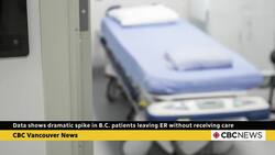 Ministry of Health responds to spike in B.C. patients leaving ER without receiving care News Clip