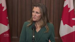 Canadians' safety and security a priority, Freeland says after India accusations News Clip