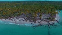 mangrove swamps at Mafia Island, Tanzania Stock Footage
