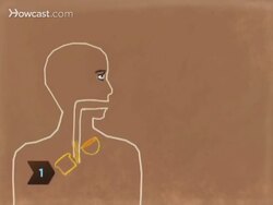 How to Eat More Foods with Vitamin B Instructional Video